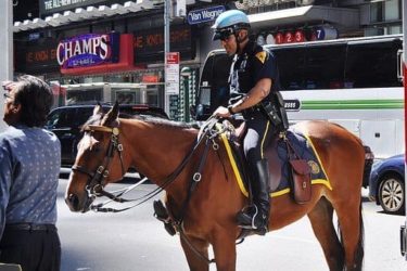 mounted policeman