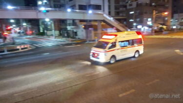 機動警察パトレイバー2 The Movie の政治哲学的考察 連載 押井守と 戦後 前史としての 犬狼伝説 機動警察パトレイバー2 The Movie の政治哲学的考察 連載 押井守と 戦後 前史としての 犬狼伝説